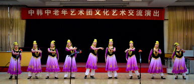 中韓中老年藝術(shù)團(tuán)文化藝術(shù)交流演出活動紀(jì)實(shí)